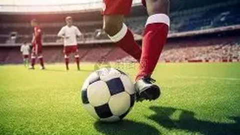 利瓦科维奇展望：次战法国难度大，球队全力争胜