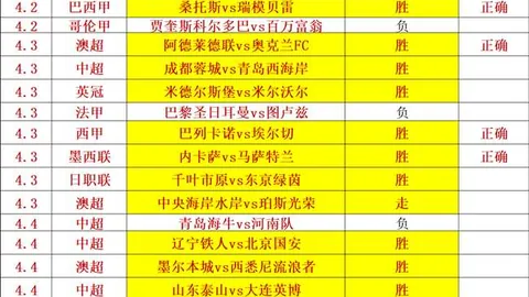 罗德里伤势扫描：轻微，未来两战或轮休分析